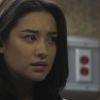PLL208-00968.jpg
