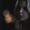 PLL208-01127.jpg
