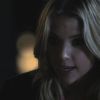 PLL208-01128.jpg