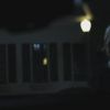 PLL208-01131.jpg
