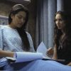 PLL208-01154.jpg