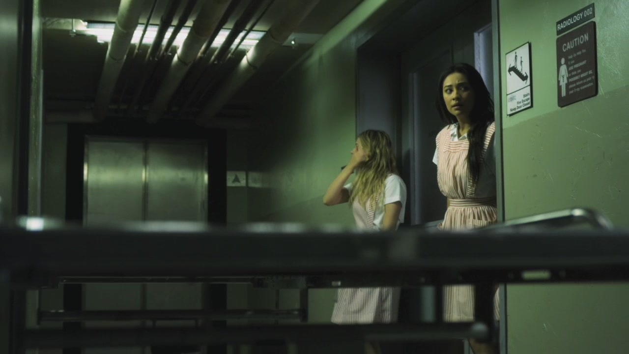 PLL209-00017.jpg
