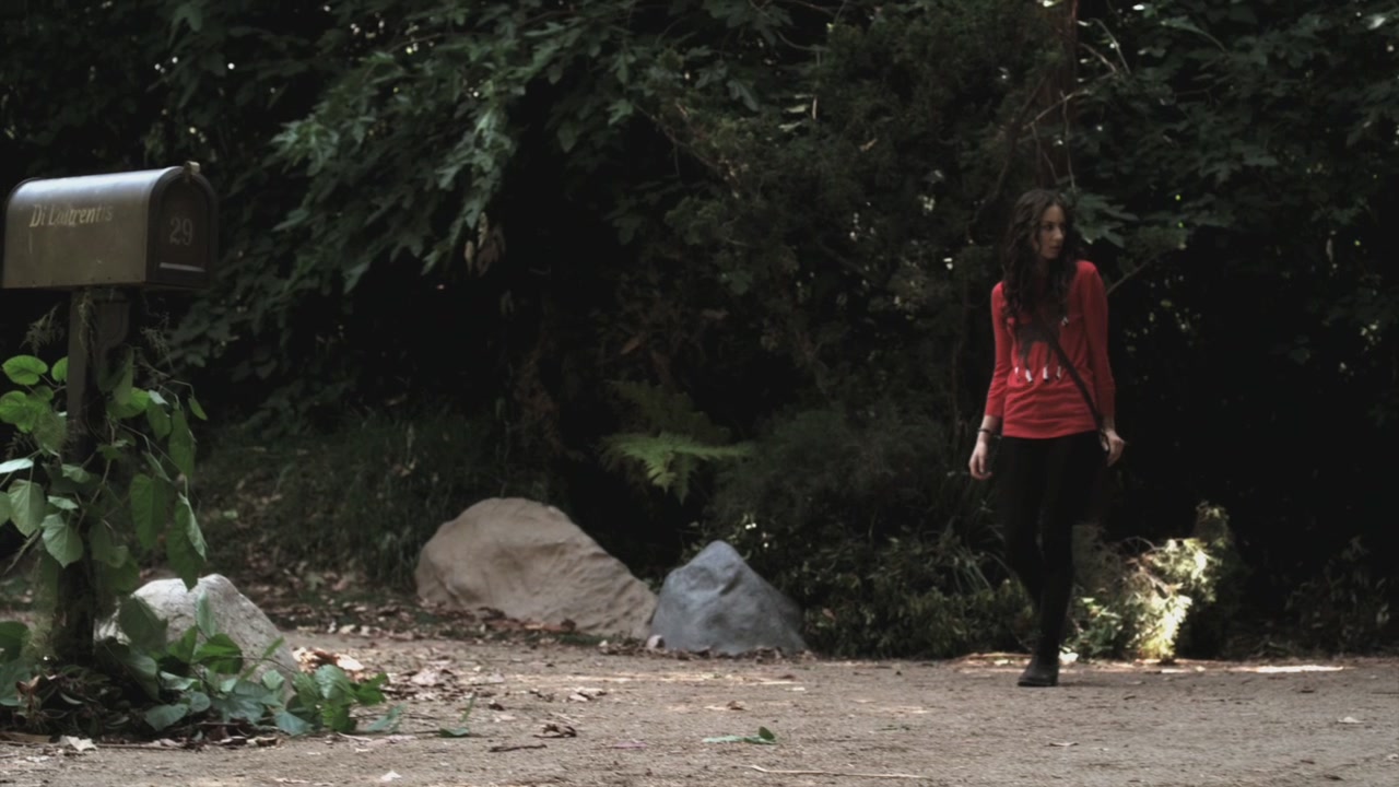 PLL209-00220.jpg