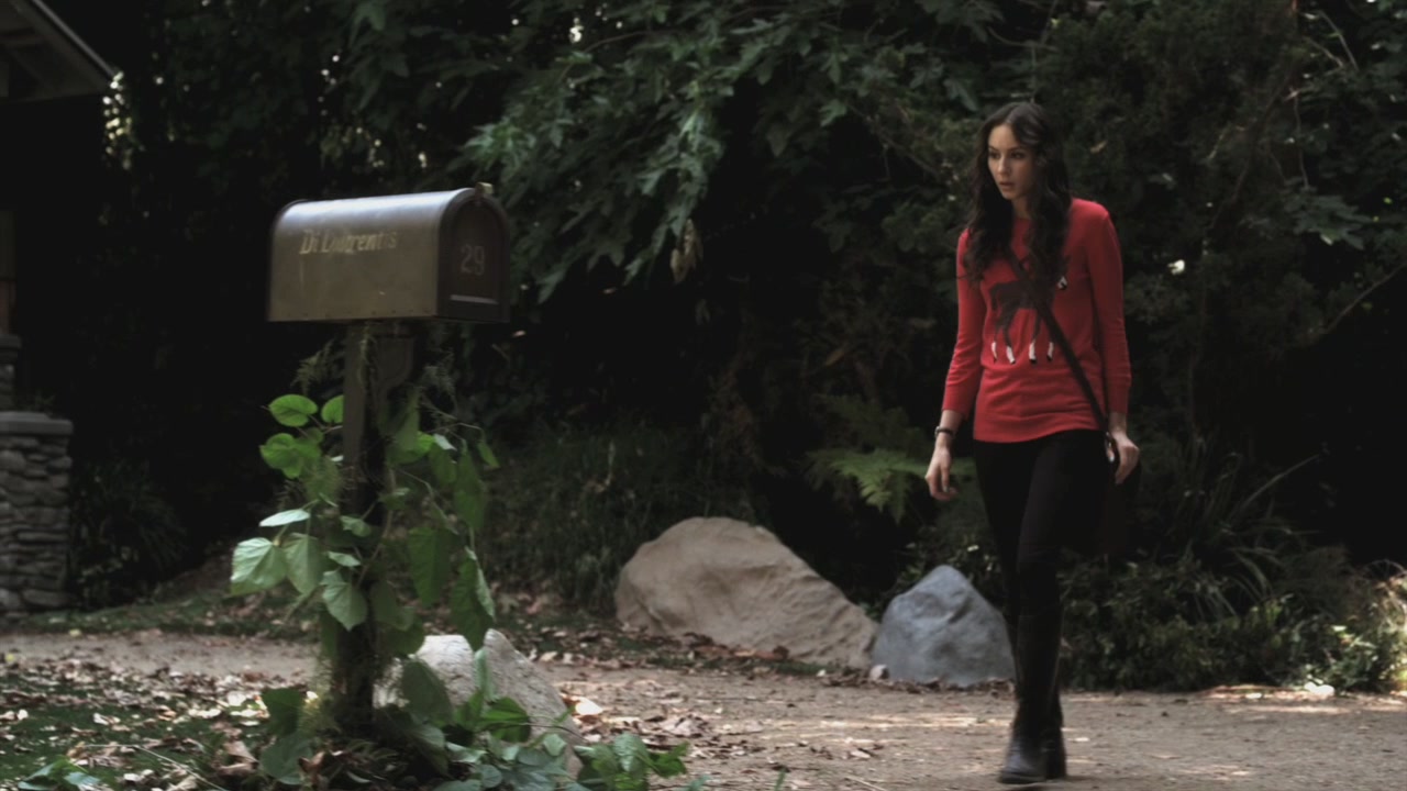 PLL209-00221.jpg