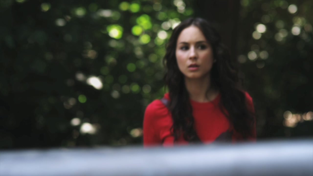 PLL209-00223.jpg
