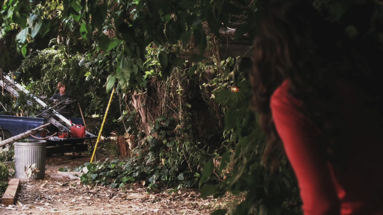 PLL209-00235.jpg
