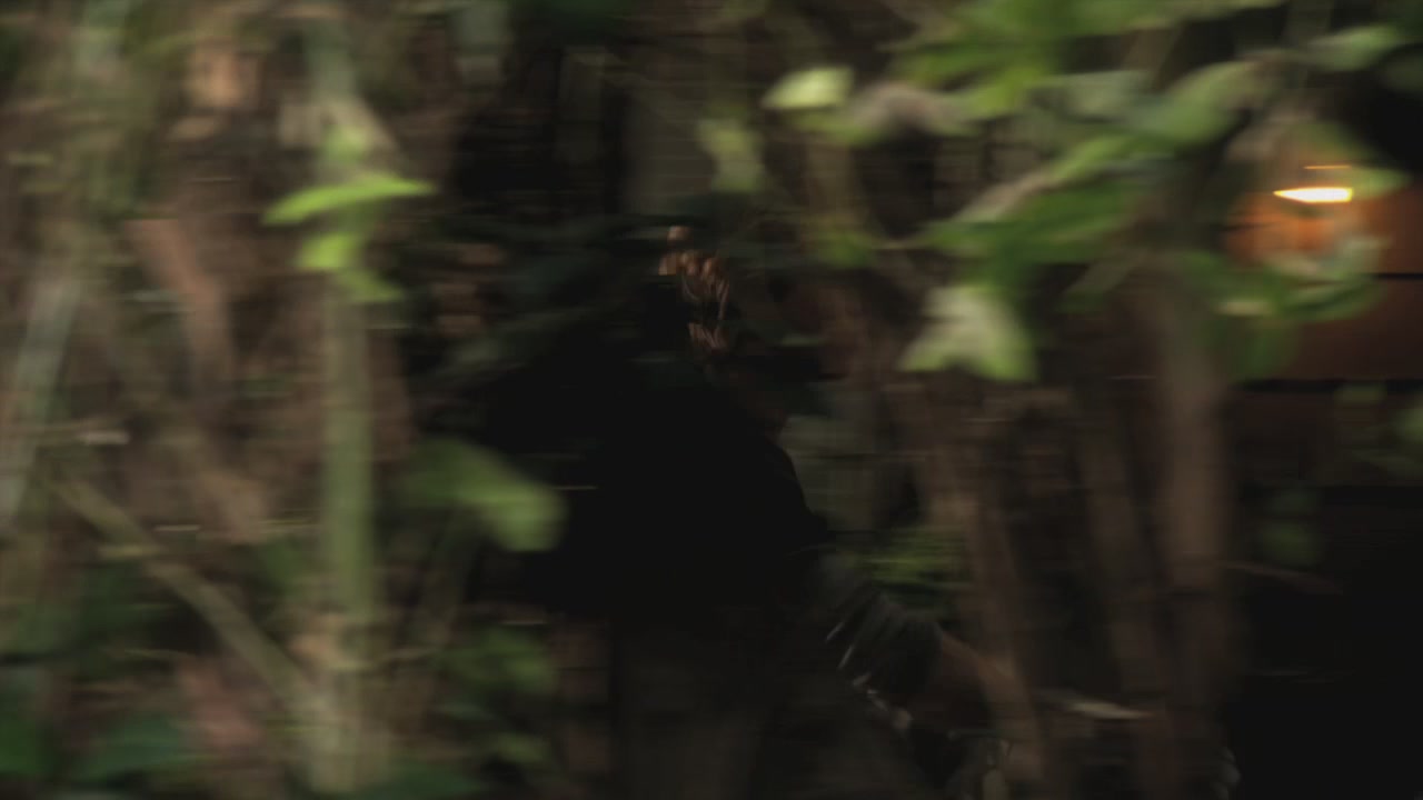 PLL209-00236.jpg