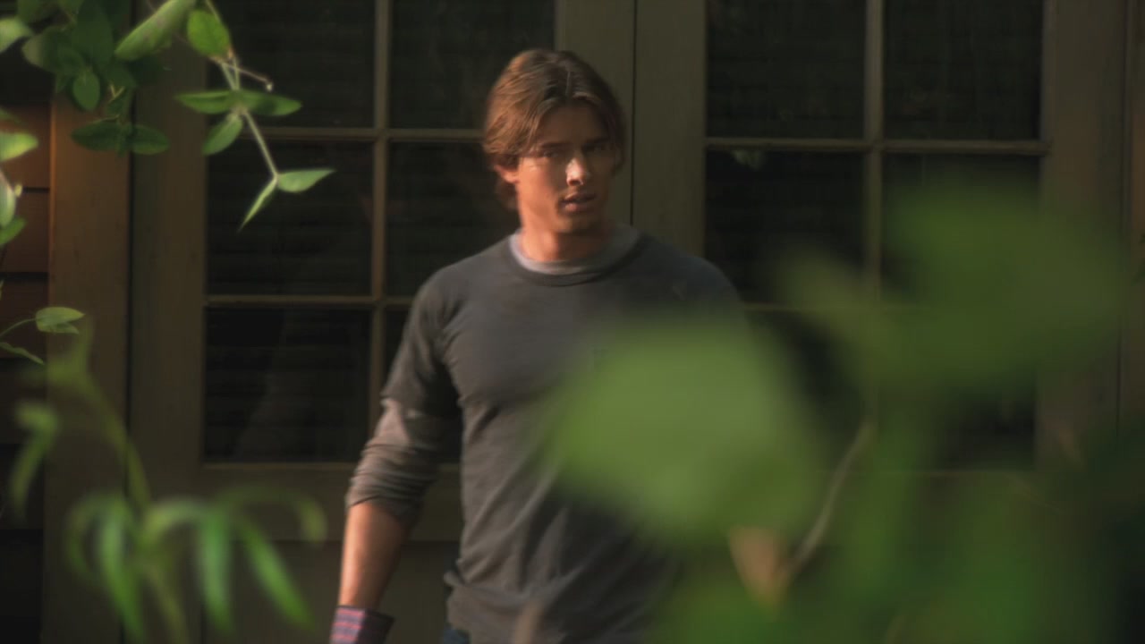 PLL209-00240.jpg