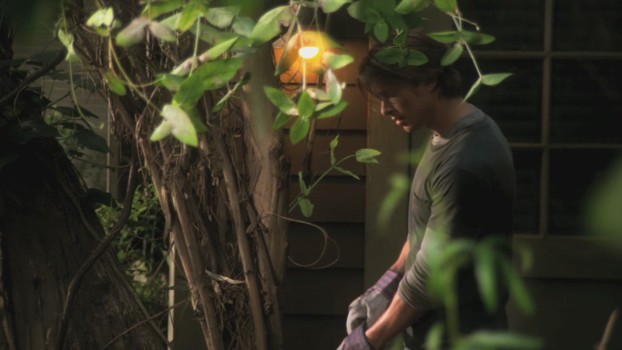 PLL209-00250.jpg