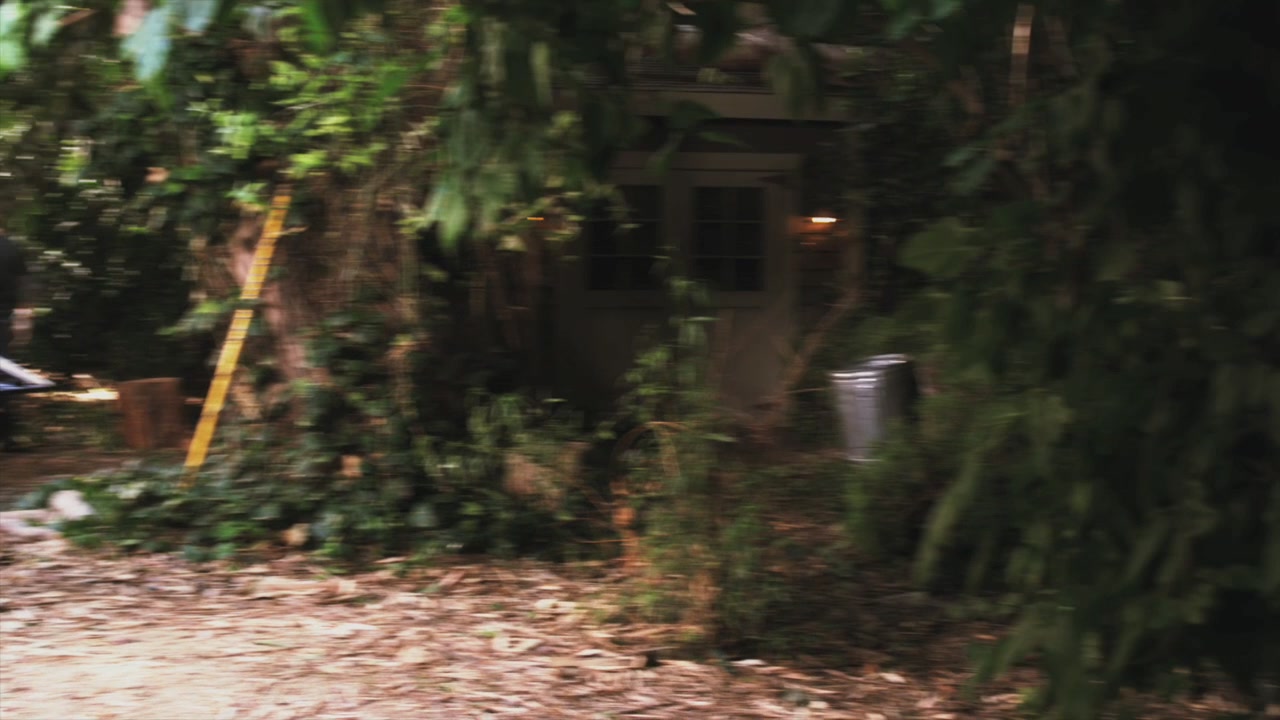 PLL209-00253.jpg