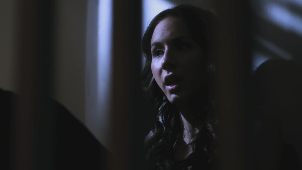 PLL209-00348.jpg
