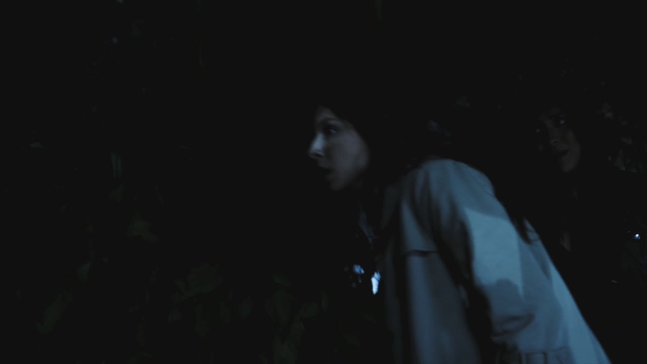 PLL209-01208.jpg