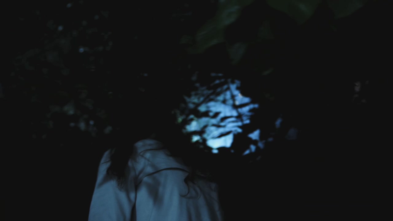 PLL209-01209.jpg