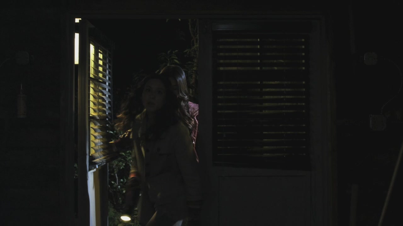 PLL209-01216.jpg