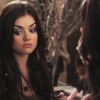 PLL209-00150.jpg