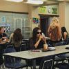 PLL209-00183.jpg