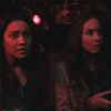 PLL209-00961.jpg