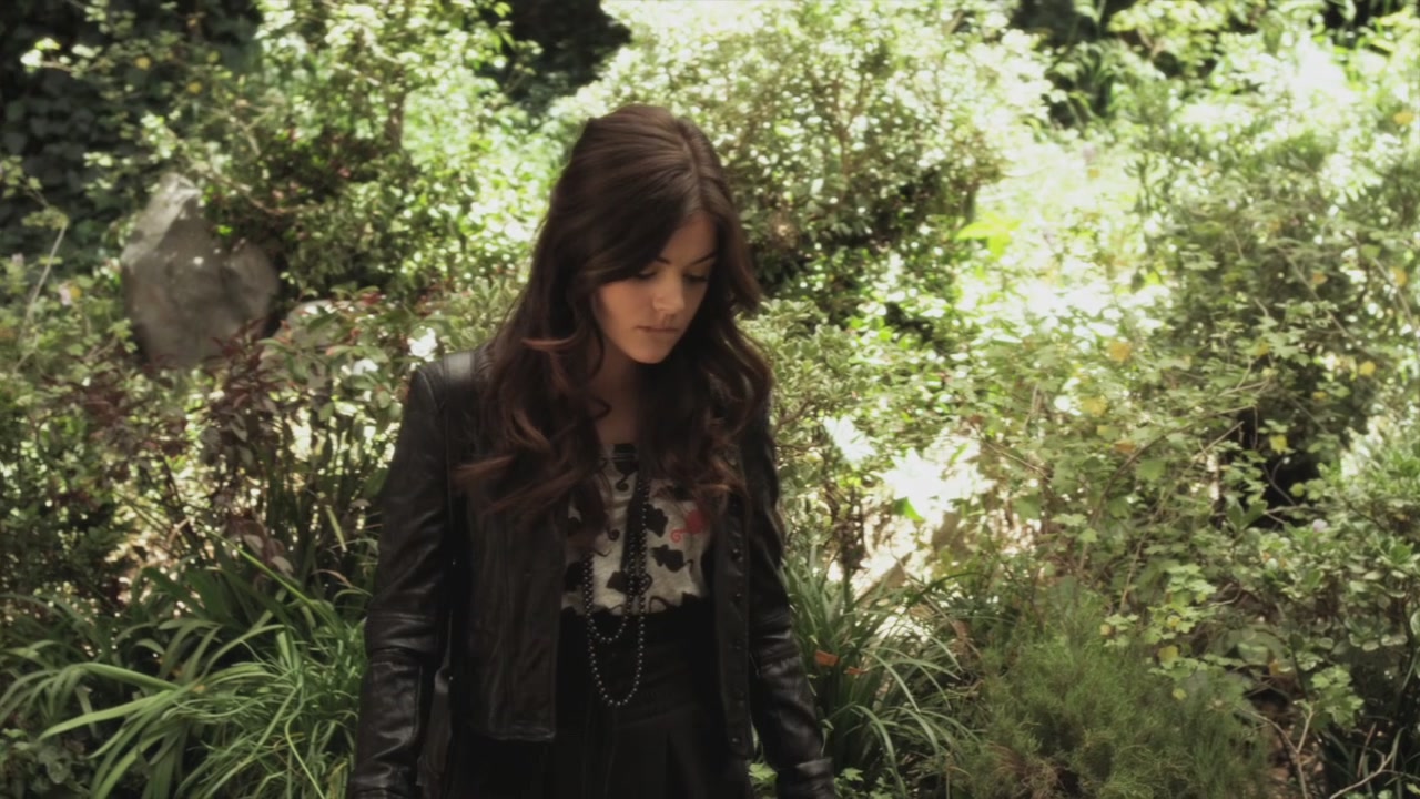 PLL210-00896.jpg