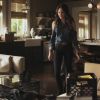 PLL210-00523.jpg