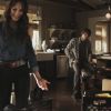PLL210-00524.jpg