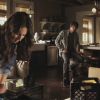 PLL210-00525.jpg