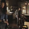 PLL210-00530.jpg