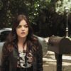 PLL210-00937.jpg