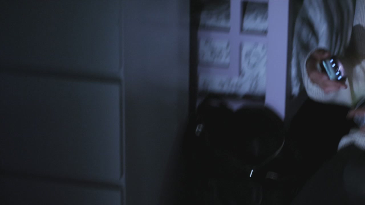 PLL211-00042.jpg
