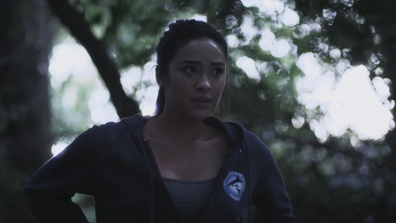 PLL211-00081.jpg