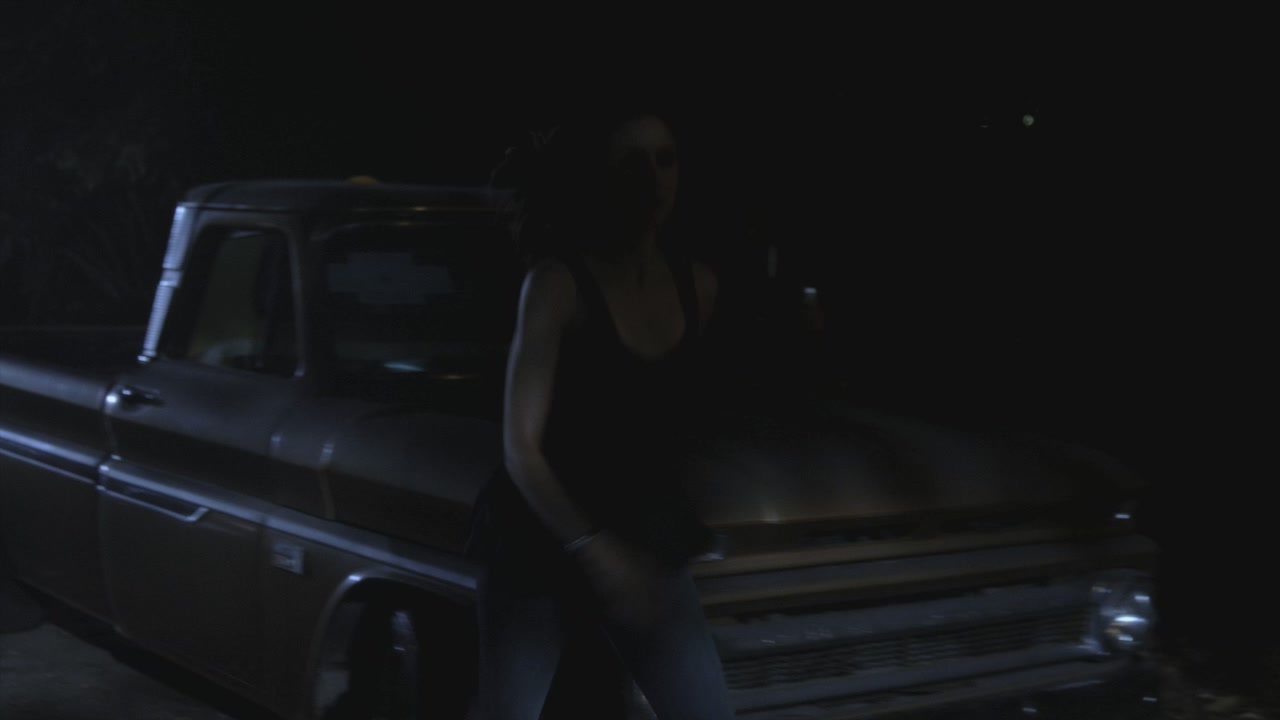 PLL211-00789.jpg