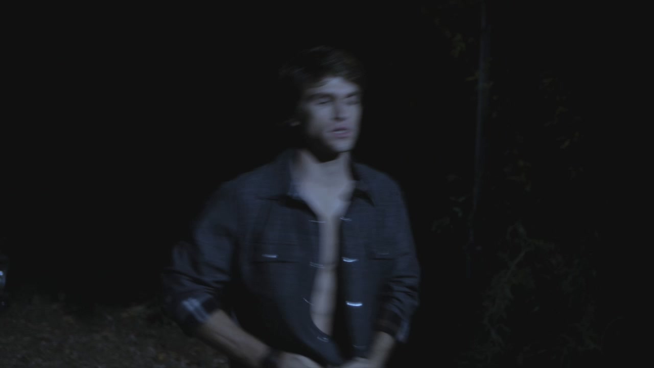 PLL211-00791.jpg