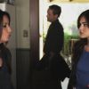 PLL211-00282.jpg