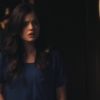PLL211-00382.jpg