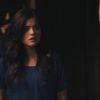 PLL211-00384.jpg