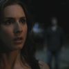 PLL211-00798.jpg