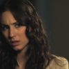 PLL211-01006.jpg
