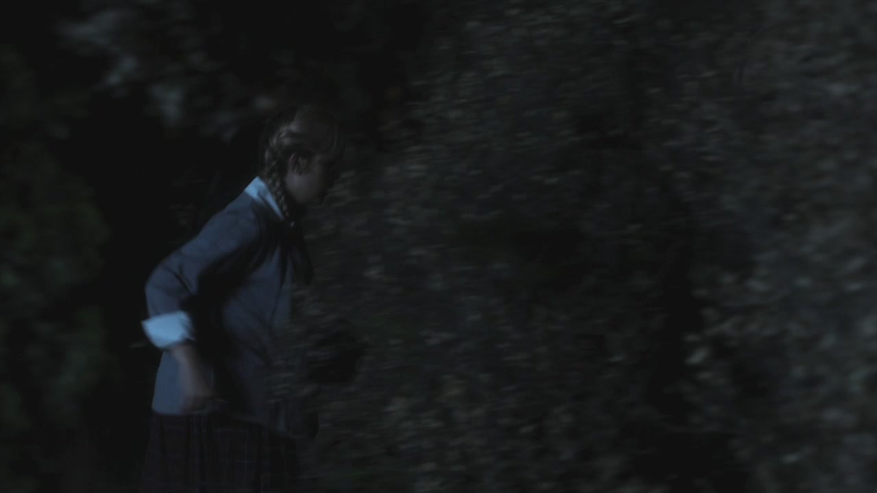 PLL213-01178.jpg