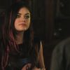 PLL213-00284.jpg