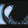 PLL213-00303.jpg