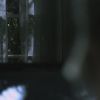 PLL213-00305.jpg