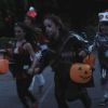 PLL213-00765.jpg