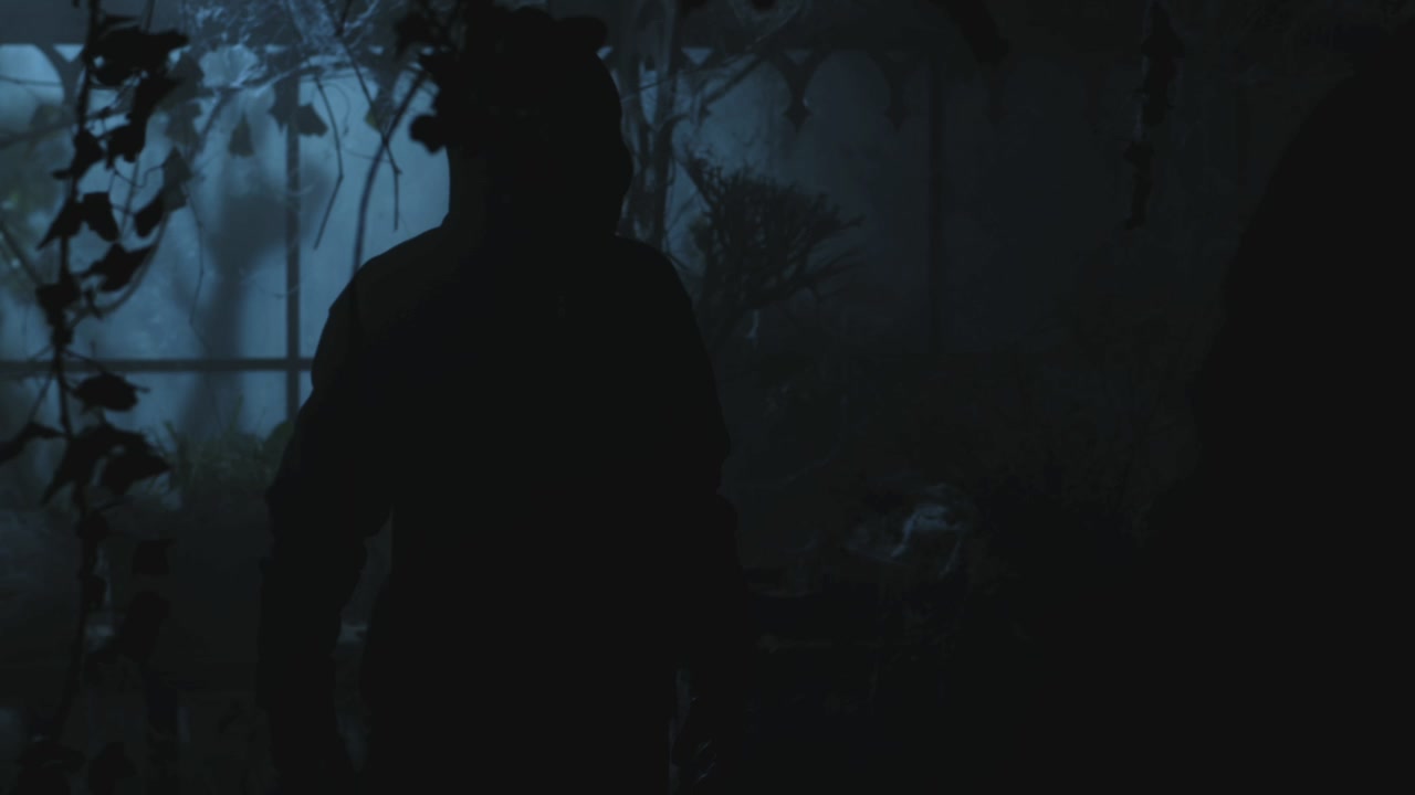 PLL214-01135.jpg