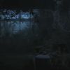PLL214-00479.jpg