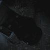 PLL214-01103.jpg