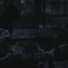 PLL214-01150.jpg