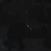 PLL214-01167.jpg