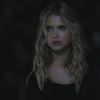 PLL214-01216.jpg