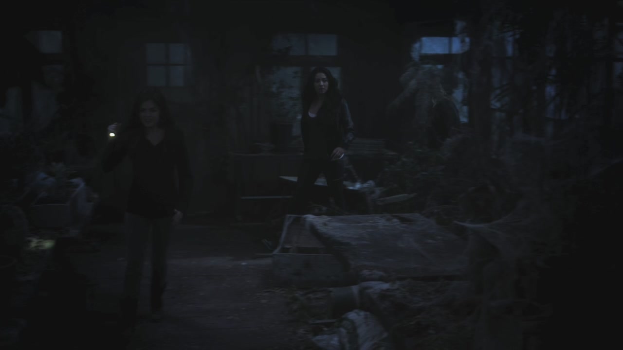 PLL215-00001.jpg