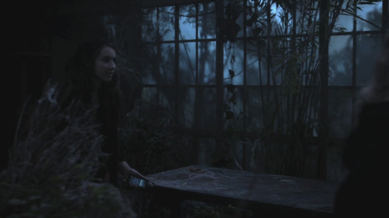 PLL215-00003.jpg