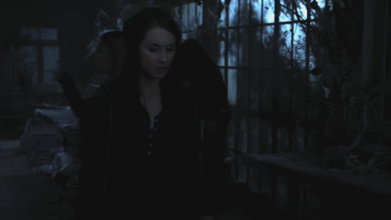 PLL215-00005.jpg